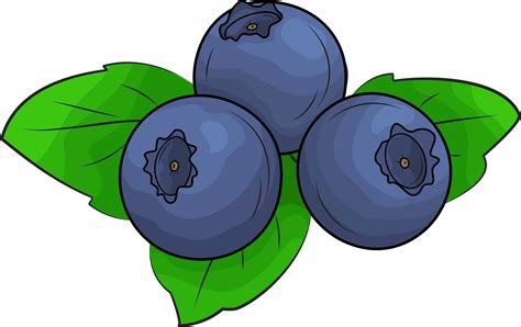 Free blueberry clip art, Download Free blueberry clip art png images ...