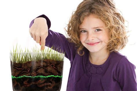 Worm Farm Kit with Worms Included! Kit for Kids to Learn About Earthworms.