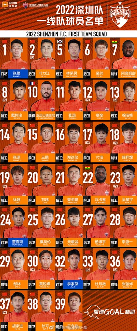 2024深圳fc足球俱乐部身价排名-年薪排名|球员名单一览表-奇猫数据