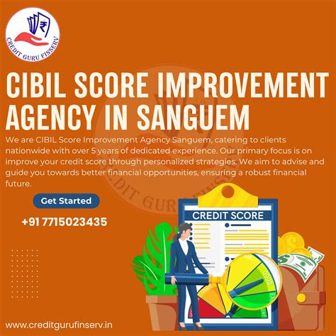 CIBIL Score Improvement agency in Sanguem