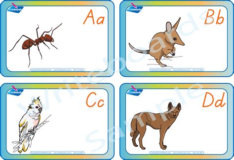 TAS Aussie Animal Alphabet Flashcards for Prep Educators - Writeboards