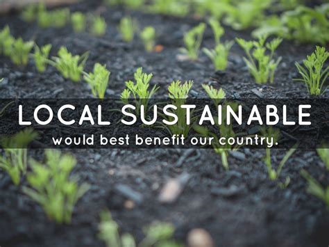 Local Sustainable Development 的图像结果