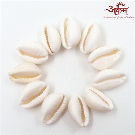 Arkam - Premium range of spiritual products|Arkam White Kauri / Safed ...