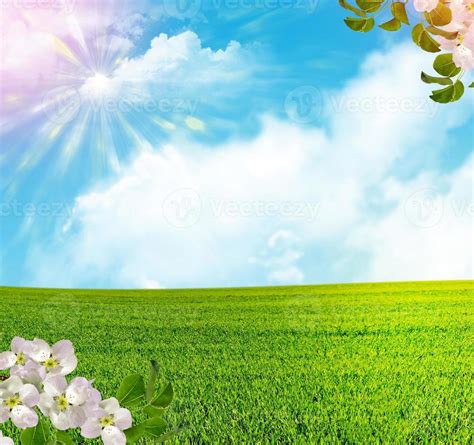 Spring View 的图像结果