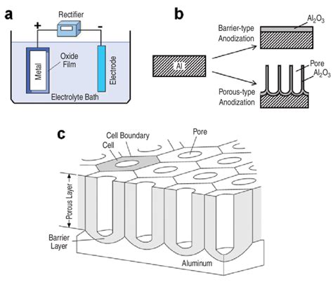 Anodization Process Setup Schematic 的图像结果