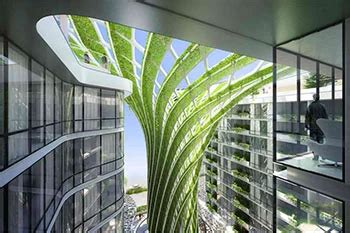 Data Science Course in Surat | Web Devlopment Course in Surat | CDMI