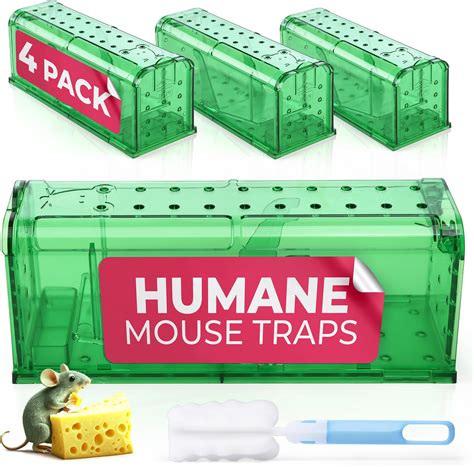 Amazon.com : Basysion Mouse Trap Bucket, for Garage, Indoor and Outdoor ...