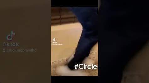 Image result for Ali Shuffle Tutorial