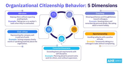 Examples of Organizational Citizenship Behavior (OCB) Explained