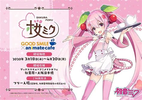 Das japanische Sakura Miku Café feiert den Frühling ganz besonders