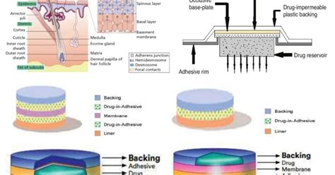 Transdermal Patch 的图像结果