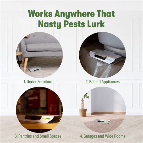 Image result for Cockroach Insert