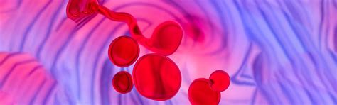 How Does Mesenchymal Stem Cell Therapy Work