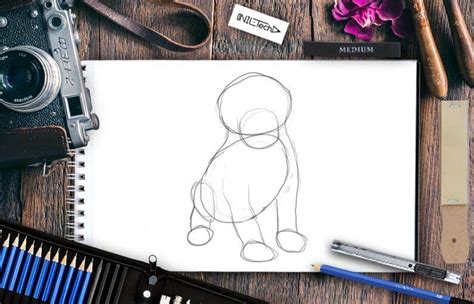 How to Draw a Realistic Labrador 的图像结果