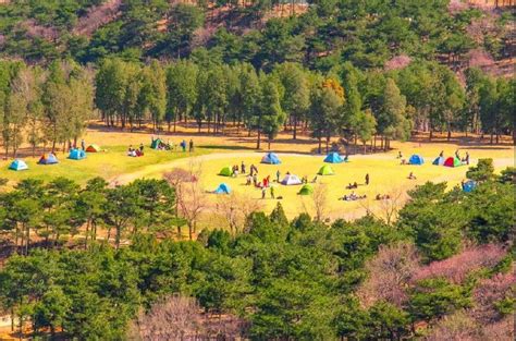 2023北京国际露营公园玩乐攻略,散心，散步，周末出游的好地... 【去哪儿攻略】