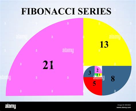 Fibonacci Stock Photos & Fibonacci Stock Images - Alamy