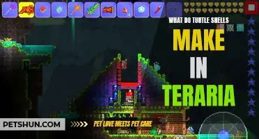 Image result for Turtle Shell Armor Terraria