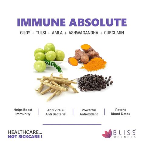 Buy BLISS WELLNESS IMMUNE BLISS HERBAL COMBO SUPPLEMENT - 60 TABLETS ...