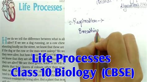Class 10 Bio Chapter 1 的图像结果