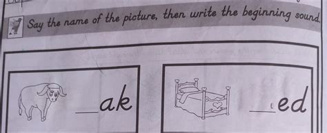 write beginning words - Brainly.in