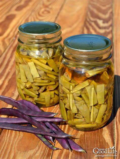 Canning String Beans Recipe 的图像结果