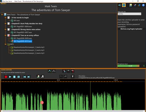 Image result for Lazurus Playing MP3 Music PascalGUI Projects
