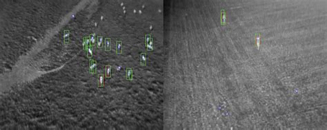 Image result for Computer Vision Wildlife