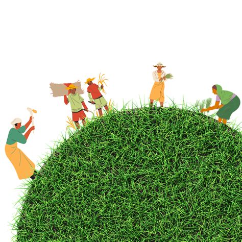 Growing Support | Agri Joy