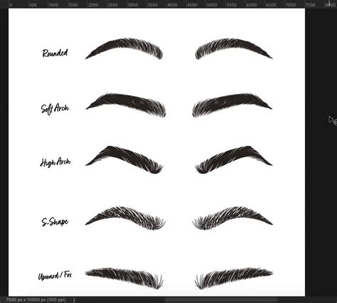 Eyebrows Shapes Chart Common Eyebrow Shapes: How To Find Your Perfect