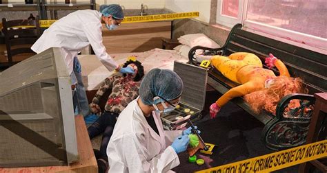 Top College of Basic and Applied Sciences in Gurugram | KRMU