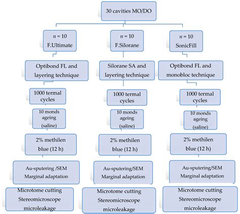 Marginal Adaptation and Micropermeability of Class II Cavities Restored ...
