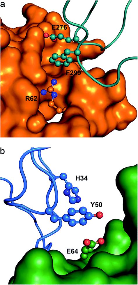 Image result for Anion Testing CSEC