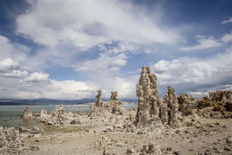 Alien Beach Resort 的图像结果