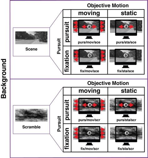 Image result for 2X2 Factorial Design Experiment Example