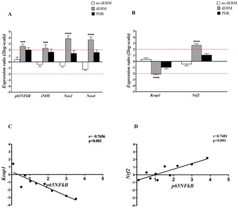 Antioxidants | Special Issue : Diabetic Retinopathy and Oxidative ...