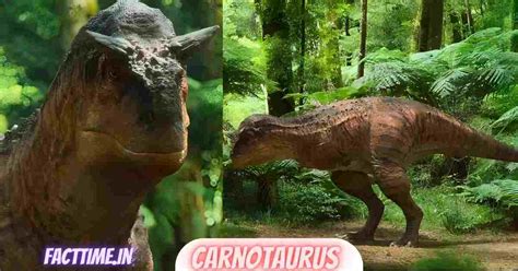 Carnotaurus: सींग वाला बेहद खतरनाक डायनासोर - Carnotaurus in Hindi