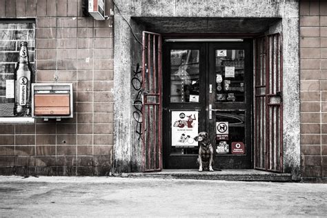 Conversion of a Sole Proprietorship to LLC in Utah: Steps To Convert Easily - Create Your Own LLC