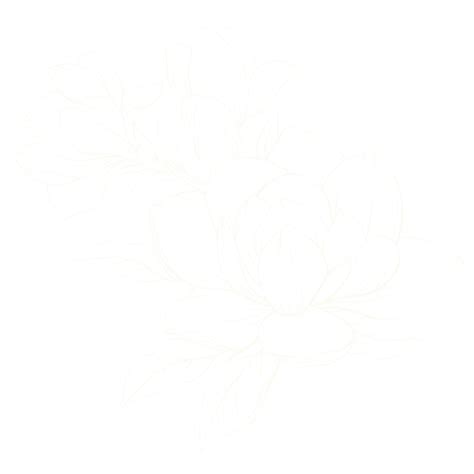 Menu - La Terrazza Raleigh