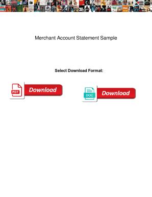 Fillable Online Merchant Account Statement Sample. Merchant Account ...