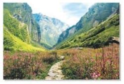 Detailed Summary: Spectacular Wonders - English Class 8 PDF Download