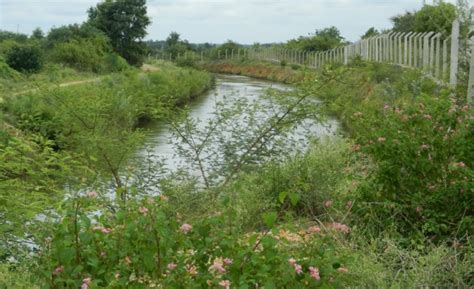 World Wetlands Day 2015: Rivers and Wetlands need hydrological ...