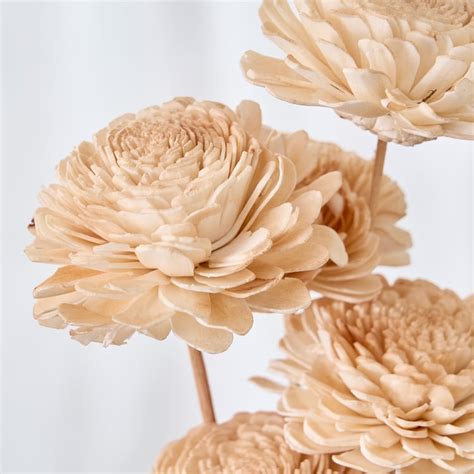 Buy Festoon Natura Set of 5 Dried Shola Flowers - 53cm from Home Centre ...