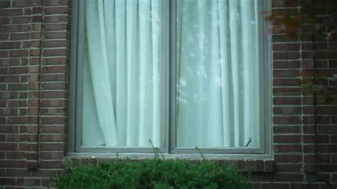 Image result for Let Neighbor Watch Window