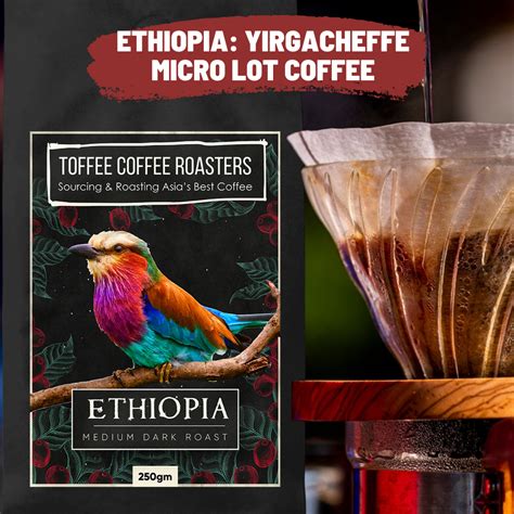 Shop Ethiopia Coffee (From Yirgacheffe) | Toffee Coffee Roasters