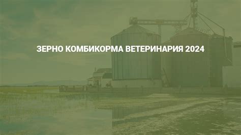 Мы приняли участие в выставке ЗЕРНО КОМБИКОРМА ВЕТЕРЕНАРИЯ 2024 - YouTube
