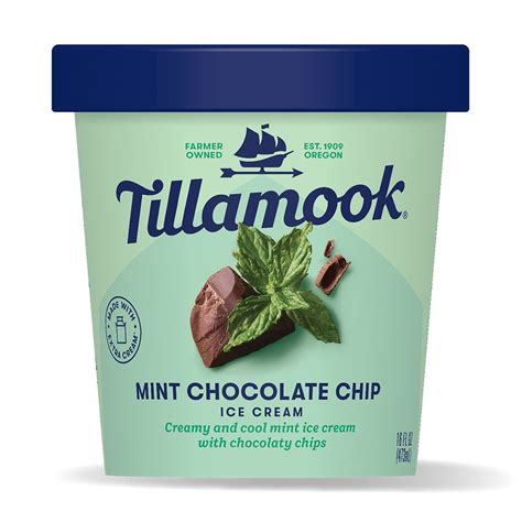 Mint Chocolate Chip Ice Cream Pint - Tillamook