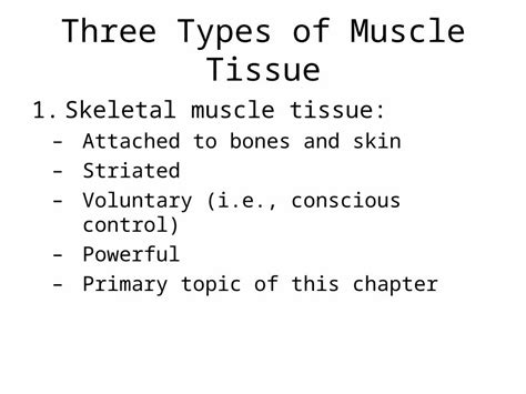 Image result for Skeletal Muscle Tissue Types