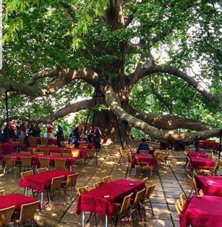 Inkaya Tarihi Cinar (Bursa) - 2020 What to Know Before You Go (with ...