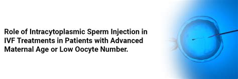 Role of Intracytoplasmic sperm injection in IVF treatments in patients ...