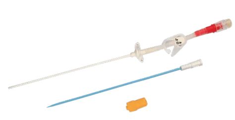 Single Lumen Hemodialysis Catheters - Single Lumen Femoral Catheters ...